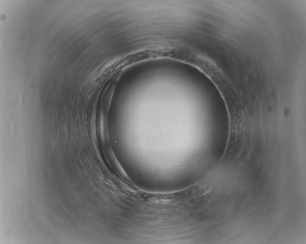 X0000076300773200609291035