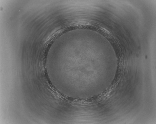 X0000076300774200609291035