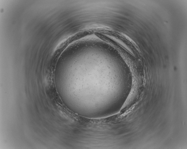 X0000076300775200609291034