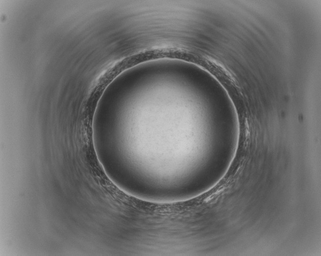 X0000076300776200609291034