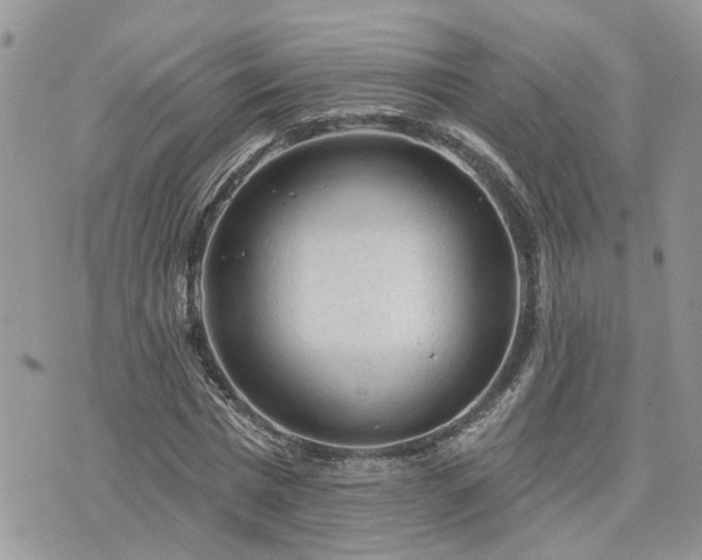 X0000076300777200609291034