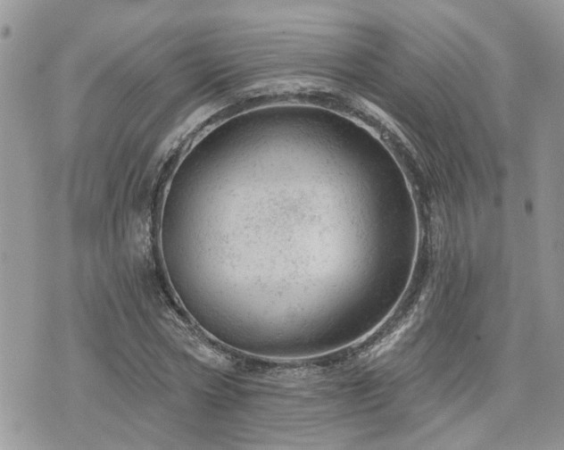 X0000076300778200609291034