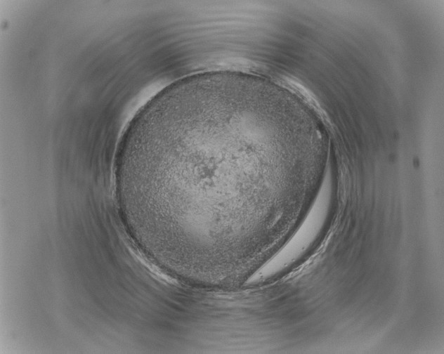 X0000076300780200609291034