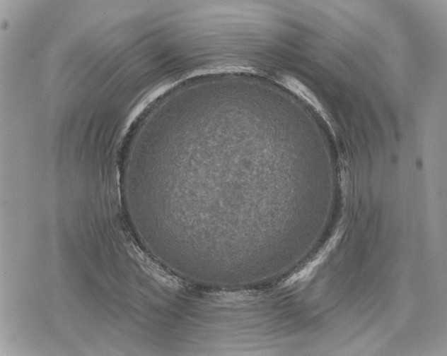 X0000076300781200609291034