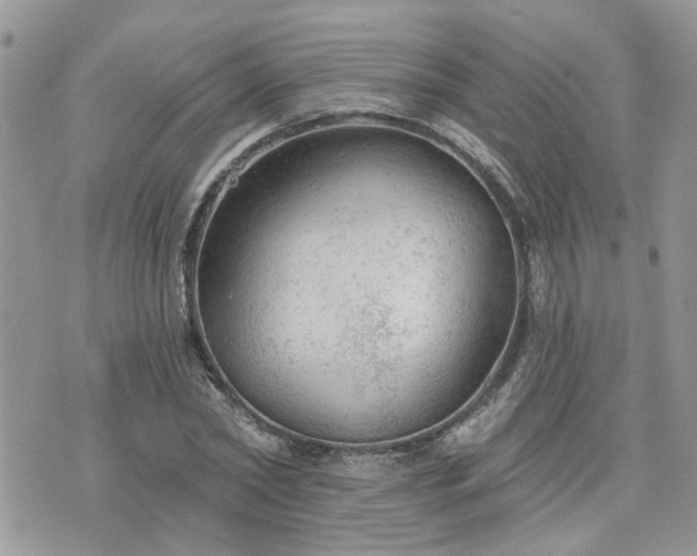 X0000076300782200609291034