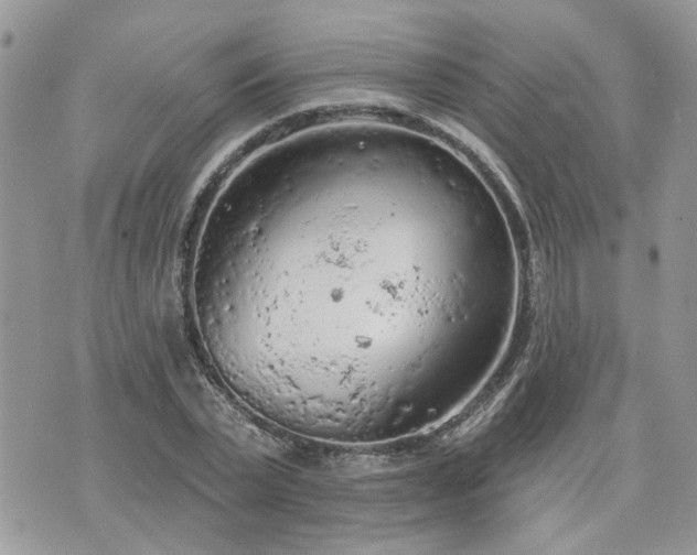 X0000076300783200609291034