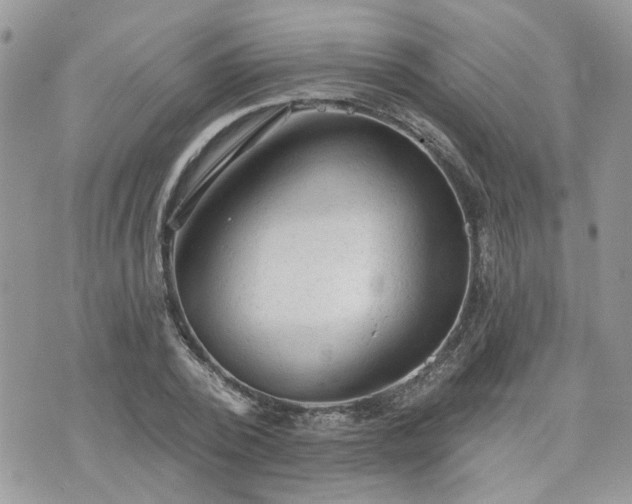 X0000076300784200609291034