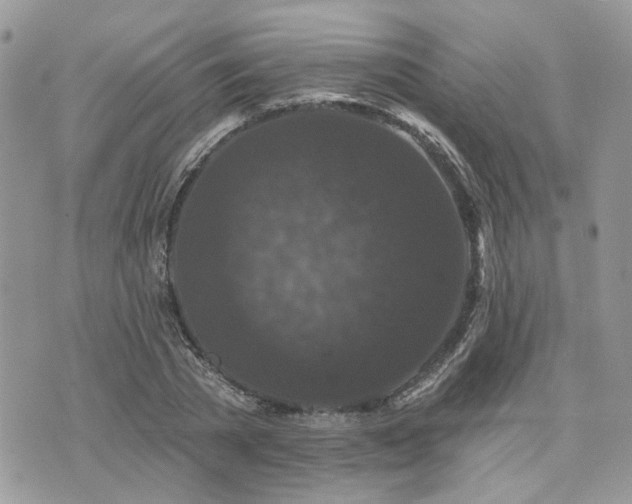 X0000076300785200609291034