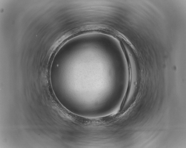 X0000076300786200609291034