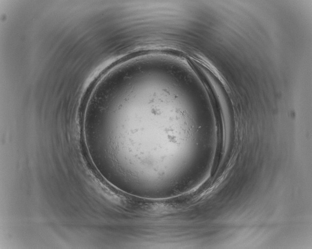 X0000076300787200609291034