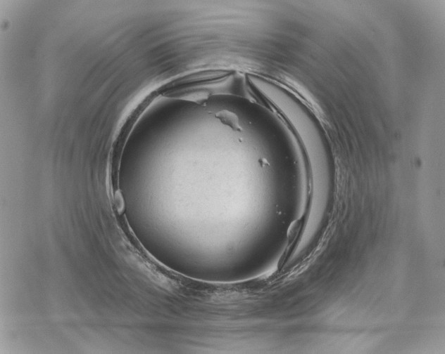 X0000076300788200609291034