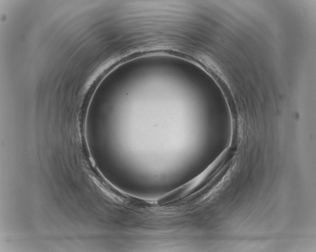 X0000076300789200609291034