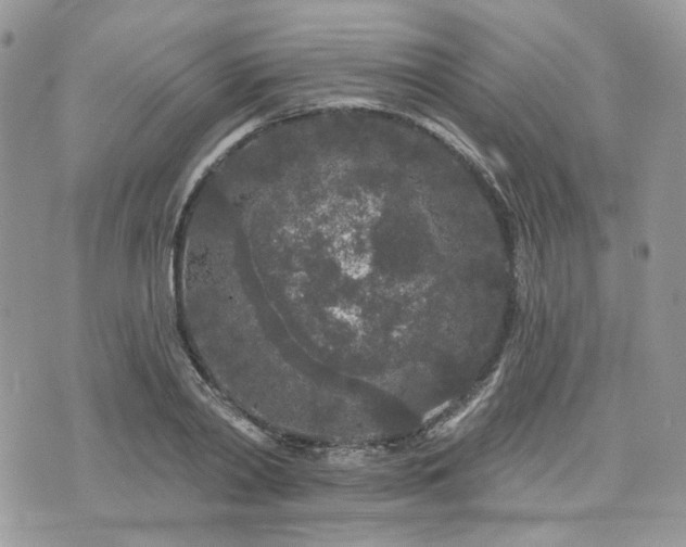 X0000076300790200609291034