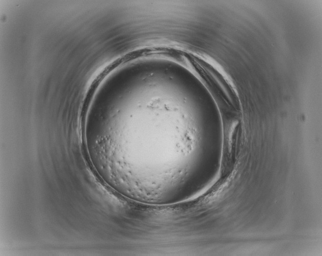 X0000076300791200609291034