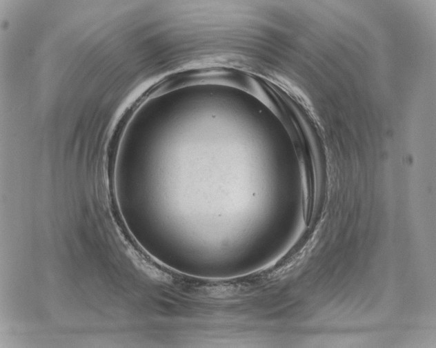 X0000076300792200609291034