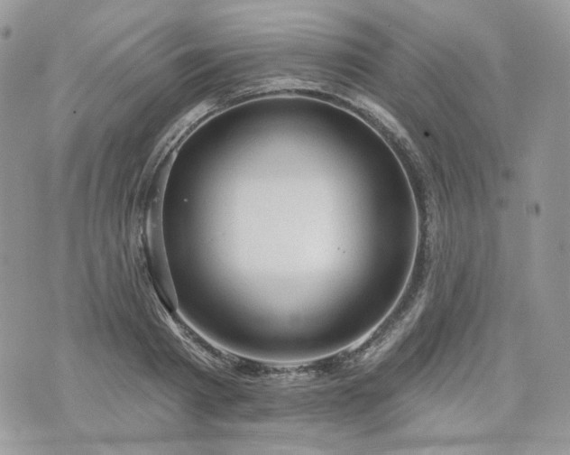 X0000076300793200609291034