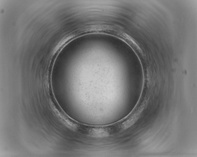 X0000076300794200609291034