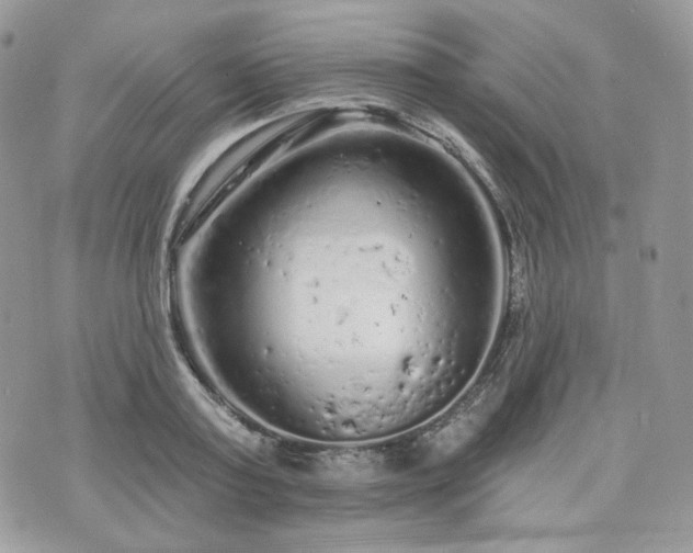 X0000076300795200609291034