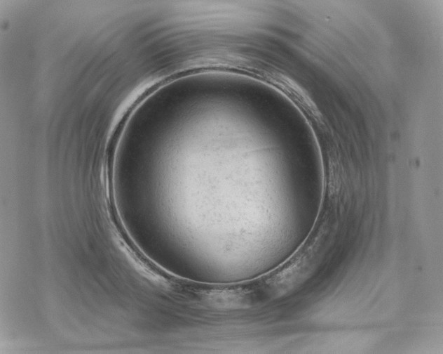 X0000076300796200609291034