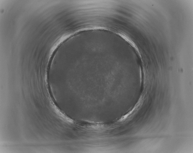 X0000076300797200609291034