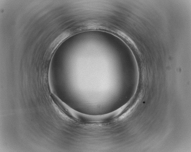 X0000076300801200609291034