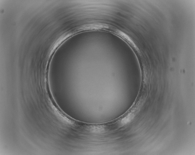 X0000076300802200609291034