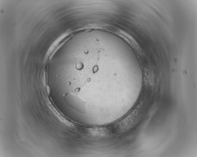 X0000076300804200609291034