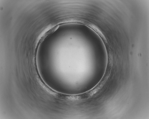 X0000076300805200609291034