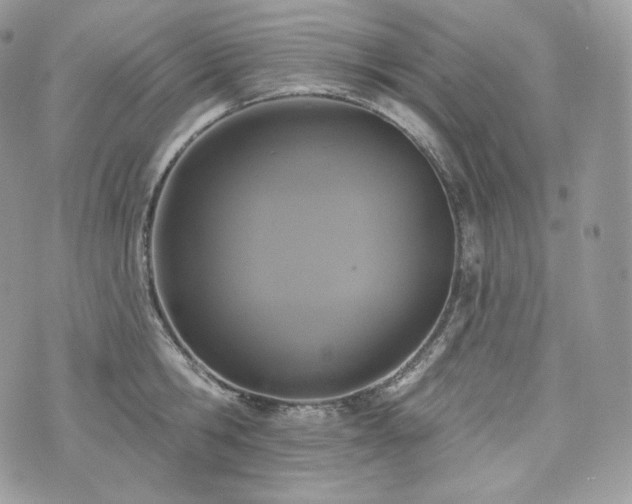 X0000076300806200609291034