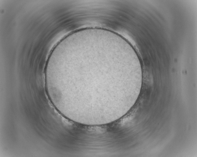 X0000076300807200609291034