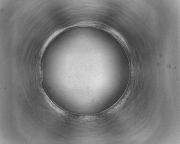 X0000076300808200609291034