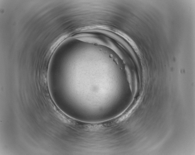 X0000076300809200609291034