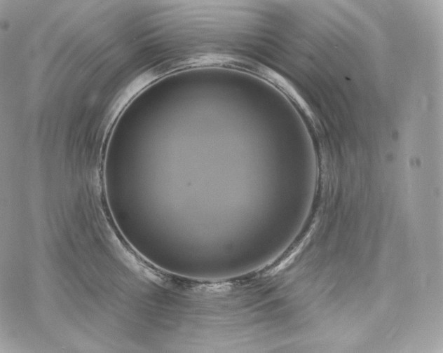 X0000076300810200609291034