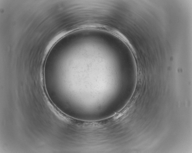 X0000076300811200609291034