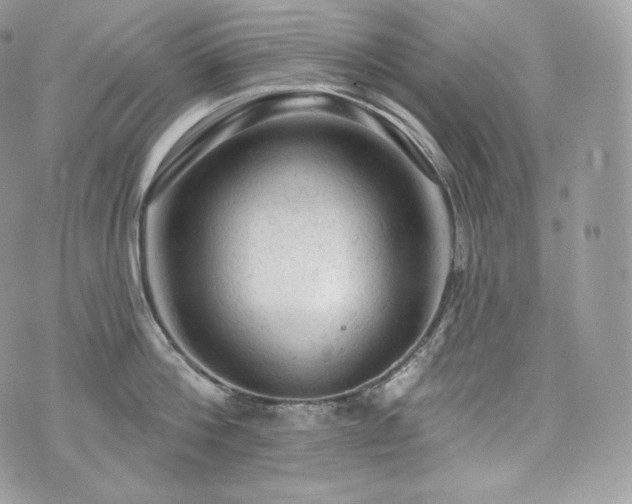 X0000076300812200609291034