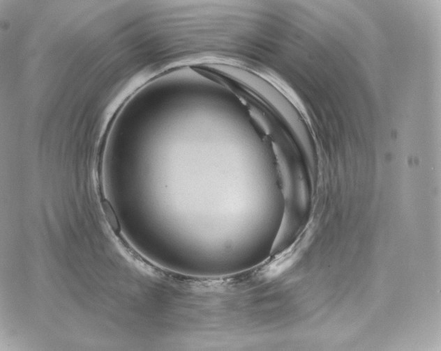 X0000076300813200609291034