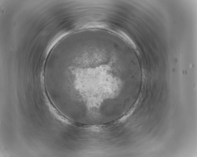 X0000076300814200609291034