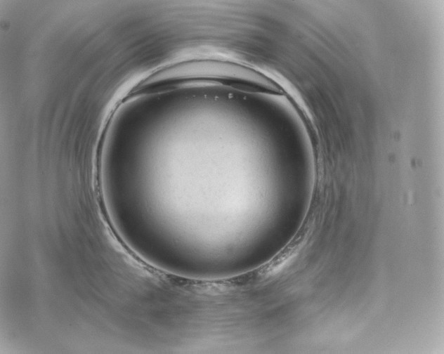 X0000076300815200609291034