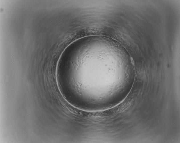 X0000076300817200609291033