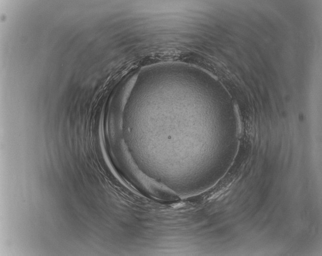 X0000076300818200609291033