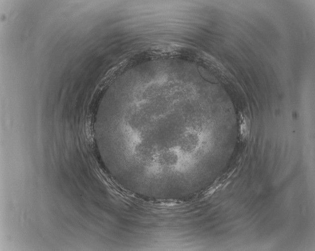 X0000076300819200609291033