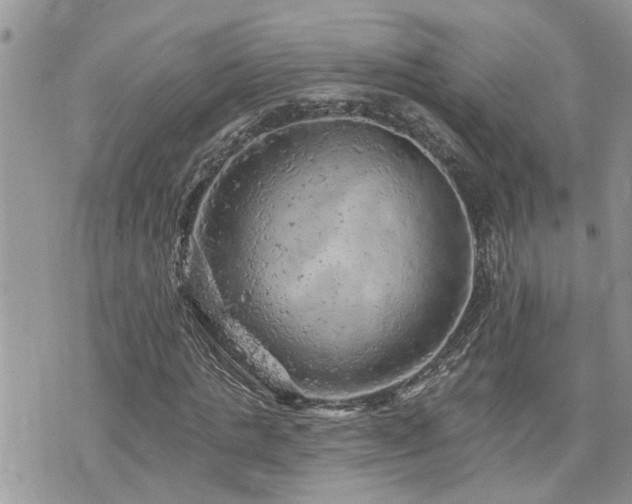 X0000076300821200609291033