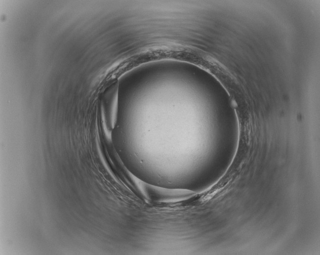 X0000076300822200609291033