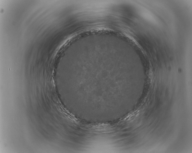 X0000076300823200609291033