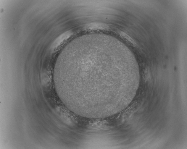 X0000076300824200609291033