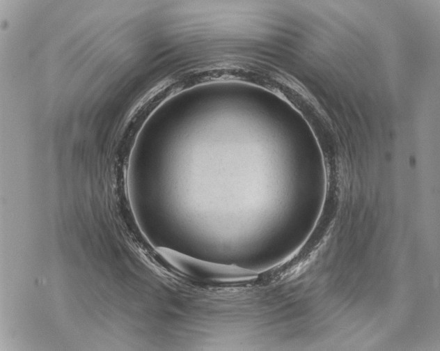 X0000076300826200609291033