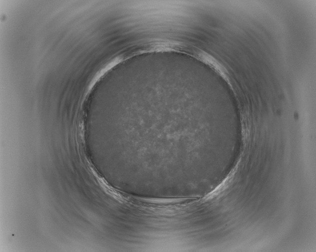 X0000076300827200609291033