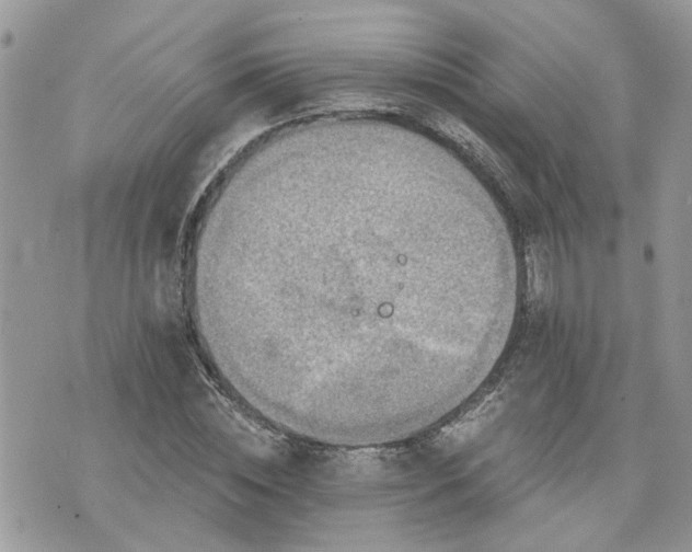 X0000076300828200609291033