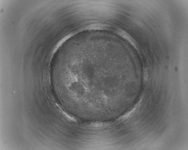 X0000076300829200609291033