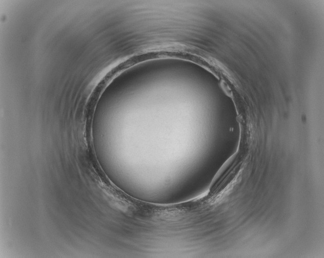 X0000076300830200609291033